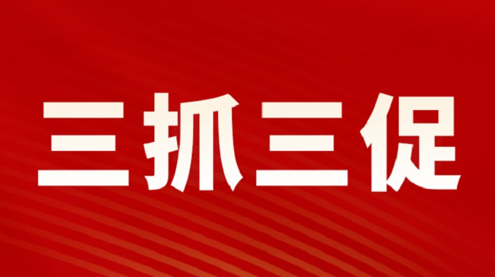 三抓三促进行时丨众博·官方版网站登录入口_众博（中国）文旅集团召开重点项目调度会